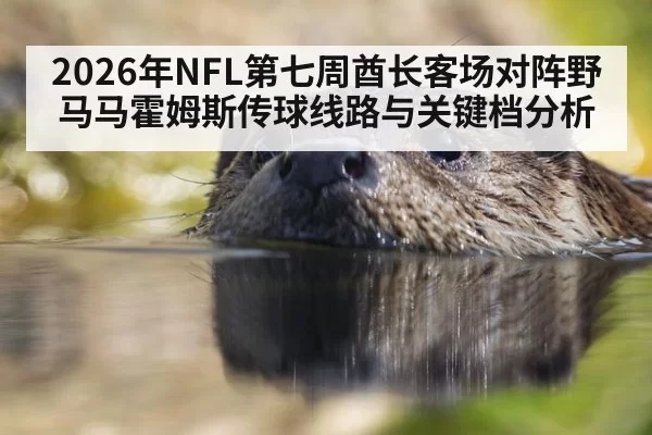 2026年NFL第七周酋长客场对阵野马马霍姆斯传球线路与关键档分析