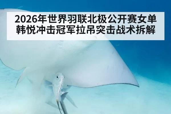 2026年世界羽联北极公开赛女单韩悦冲击冠军拉吊突击战术拆解